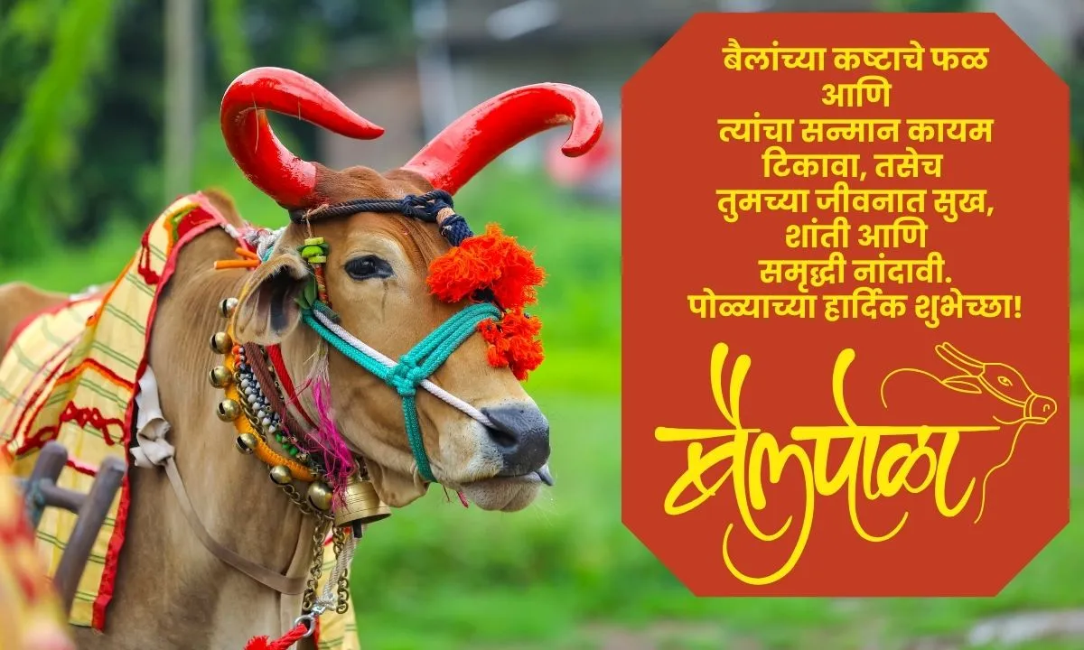 Bail Pola Wishes In Marathi