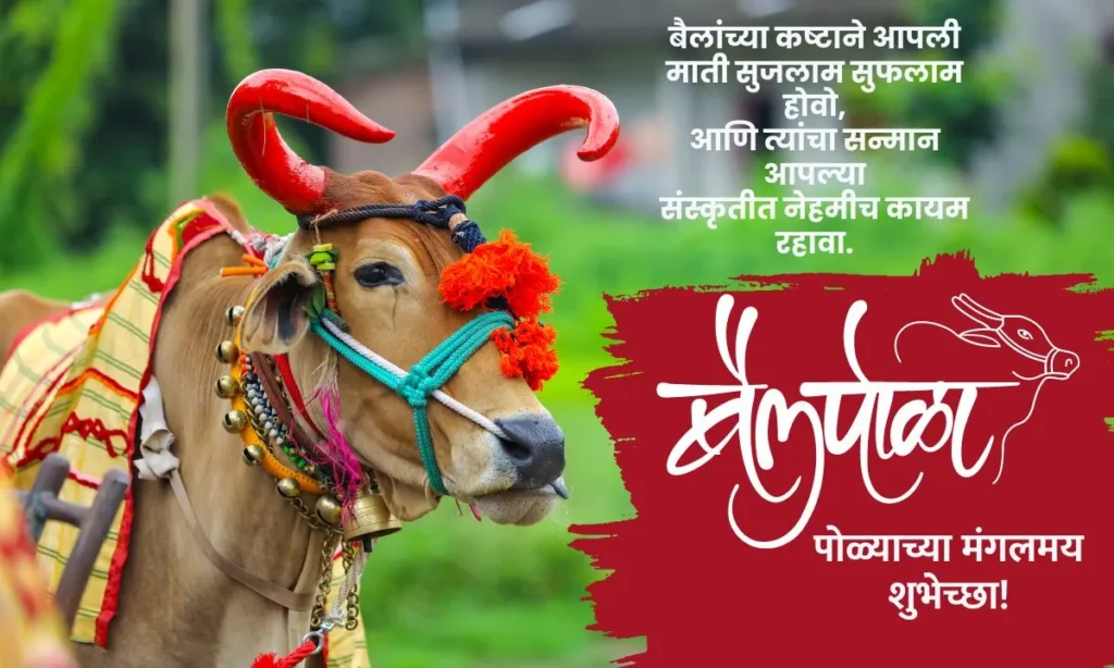 Bail Pola Wishes In Marathi