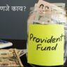 PPF Information In Marathi