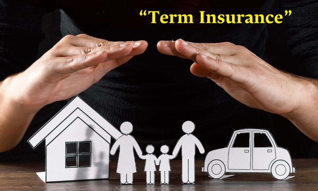 Term Insurance in Marathi